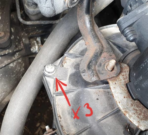 Alfa Romeo GTV/Spider (916) Air Filter Housing Replacement Screws - Image 2