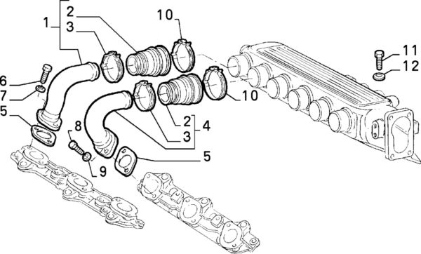 Alfa Romeo V6 Inlet Manifold Rubber Hose Clip - Small - Image 2