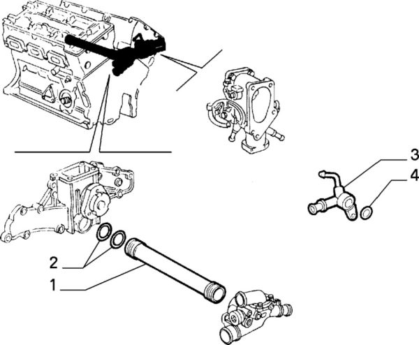 Alfa Romeo GTV/Spider (916) V6 Waterpump To Thermostat Water Pipe O Ring Set - Image 2