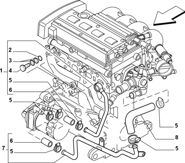 Alfa Romeo GTV/Spider (916) Twinspark & JTS Oil Cooler Bridge Hose - Image 2