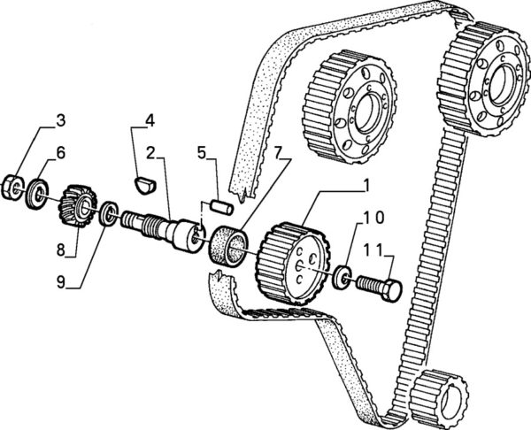 Alfa Romeo GTV/Spider V6 24v Camshaft Seal - Image 3
